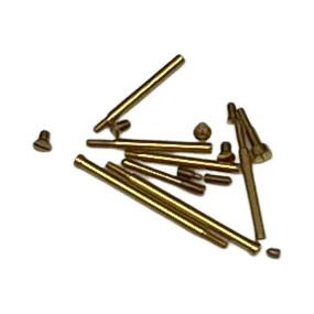 Bracelet Screws