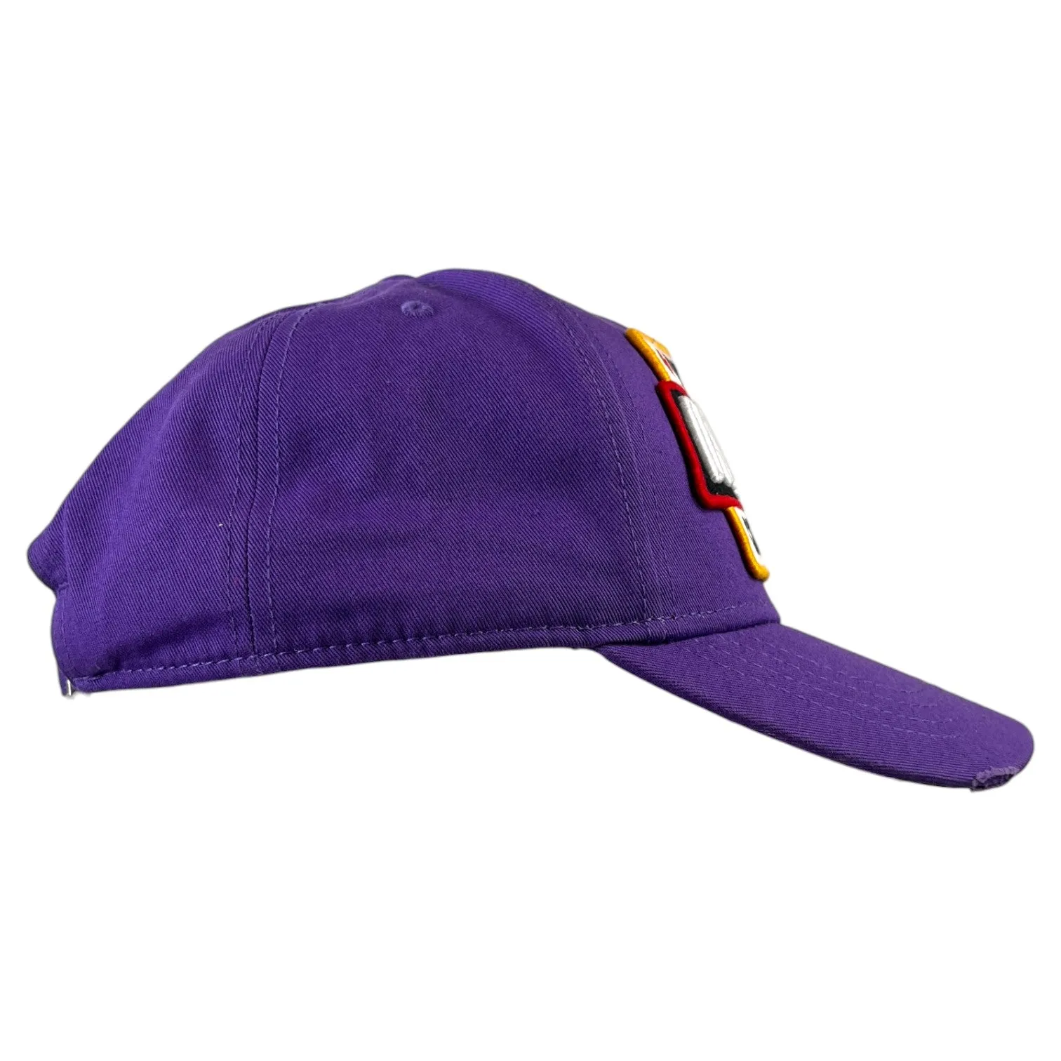 Men's Canada Twins Cap Purple