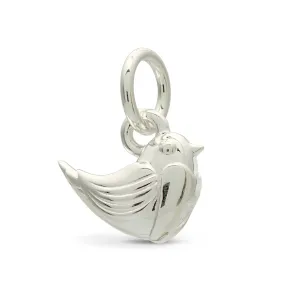 Robin Silver Charm